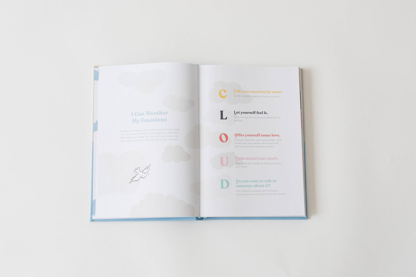 My Big Feelings Journal: Discovering and Mastering Emotions: Blush Pink / Amber