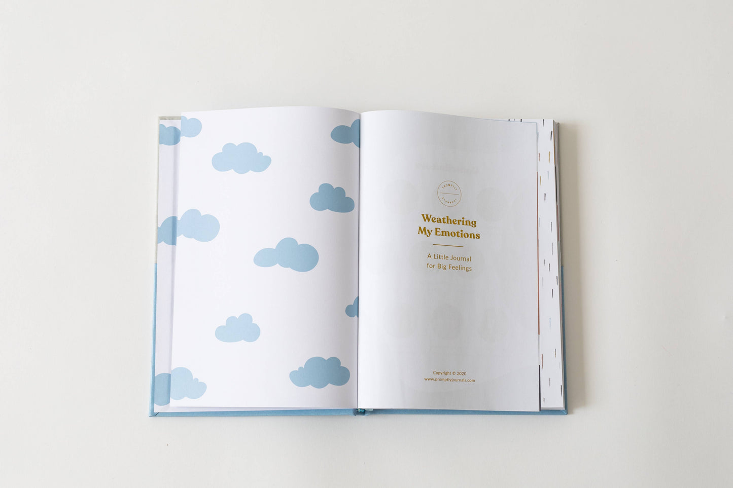 My Big Feelings Journal: Discovering and Mastering Emotions: Blush Pink / Amber
