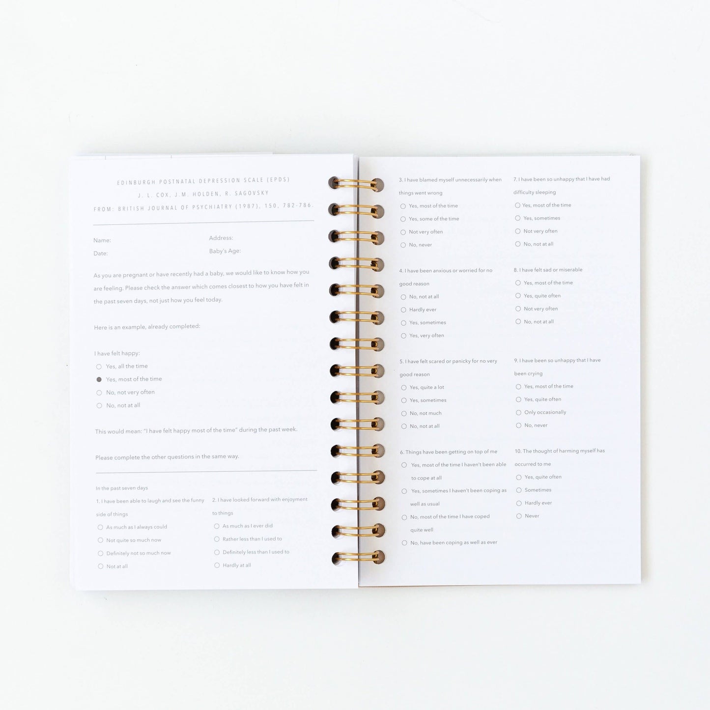 My Postpartum Journal: A Year of Self-Care