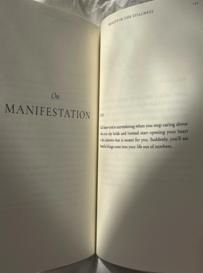 Beauty In The Stillness - Poetry book
